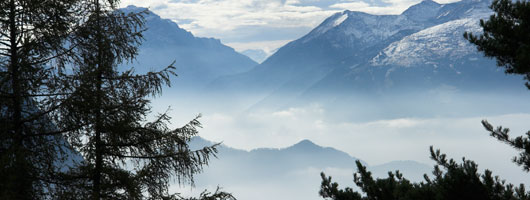 网络短信在线发送