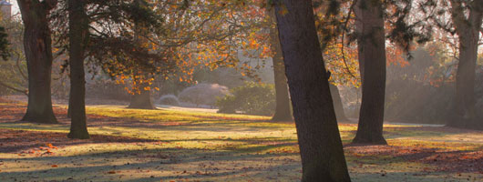 打爆别人手机号的软件